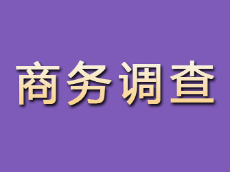 武平商务调查